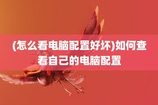 (怎么看电脑配置好坏)如何查看自己的电脑配置