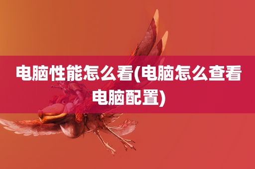 电脑性能怎么看(电脑怎么查看电脑配置)