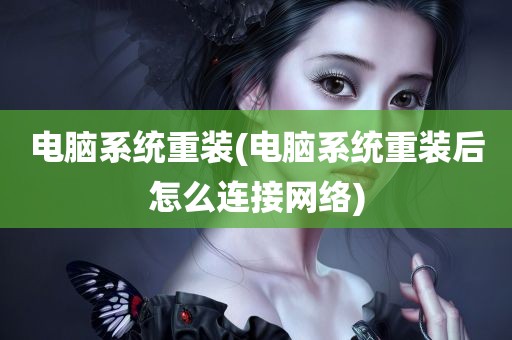 电脑系统重装(电脑系统重装后怎么连接网络)