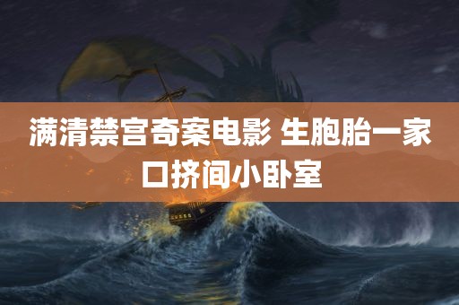 满清禁宫奇案电影 生胞胎一家口挤间小卧室