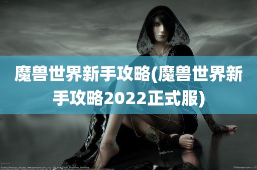 魔兽世界新手攻略(魔兽世界新手攻略2022正式服)