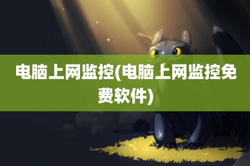 电脑上网监控(电脑上网监控免费软件)