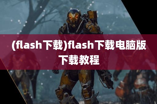 (flash下载)flash下载电脑版下载教程