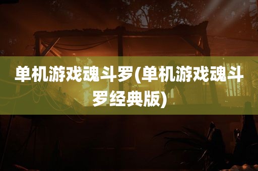 单机游戏魂斗罗(单机游戏魂斗罗经典版)