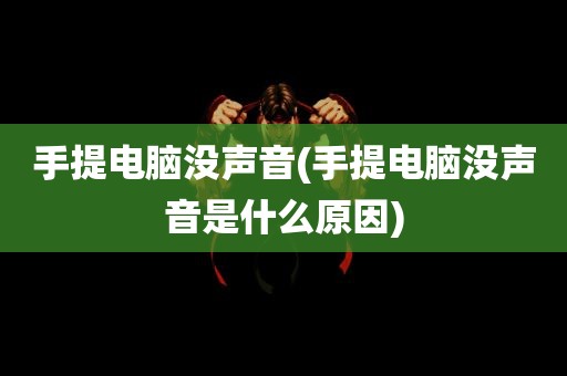 手提电脑没声音(手提电脑没声音是什么原因)