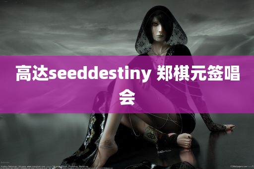 高达seeddestiny 郑棋元签唱会