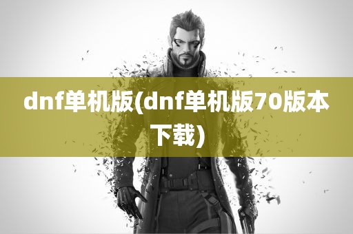 dnf单机版(dnf单机版70版本下载)