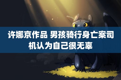 许娜京作品 男孩骑行身亡案司机认为自己很无辜