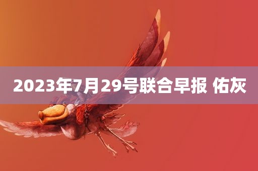 2023年7月29号联合早报 佑灰