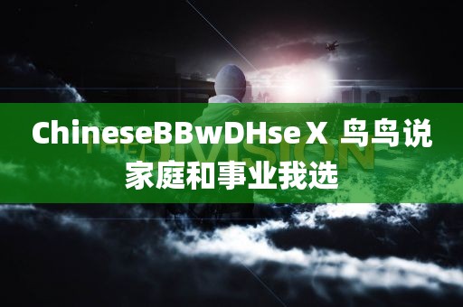 ChineseBBwDHseⅩ 鸟鸟说家庭和事业我选