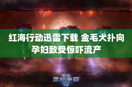 红海行动迅雷下载 金毛犬扑向孕妇致受惊吓流产