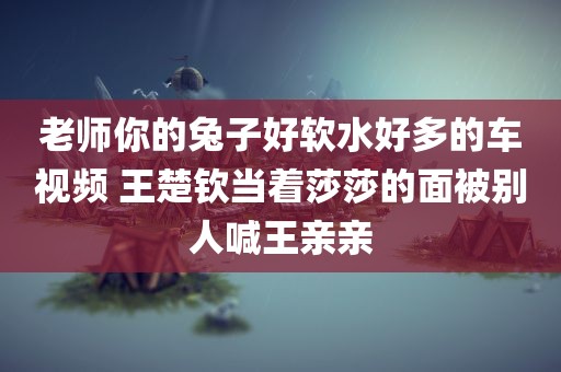 老师你的兔子好软水好多的车视频 王楚钦当着莎莎的面被别人喊王亲亲