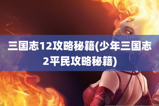 三国志12攻略秘籍(少年三国志2平民攻略秘籍)