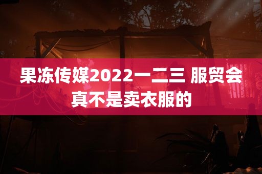 果冻传媒2022一二三 服贸会真不是卖衣服的