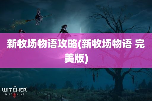 新牧场物语攻略(新牧场物语 完美版)