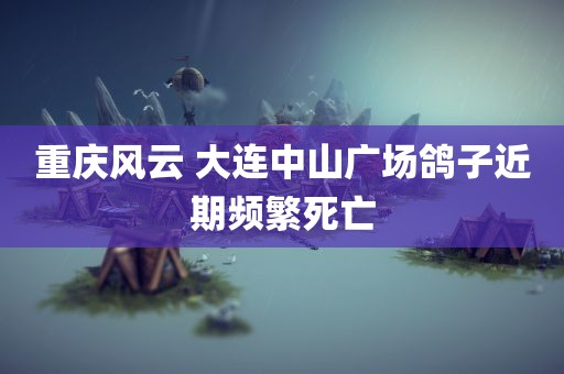 重庆风云 大连中山广场鸽子近期频繁死亡