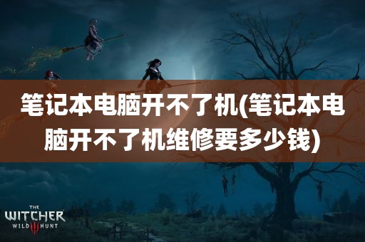 笔记本电脑开不了机(笔记本电脑开不了机维修要多少钱)