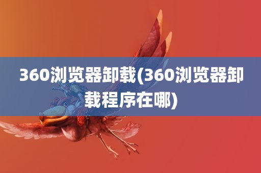 360浏览器卸载(360浏览器卸载程序在哪)