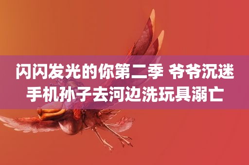 闪闪发光的你第二季 爷爷沉迷手机孙子去河边洗玩具溺亡