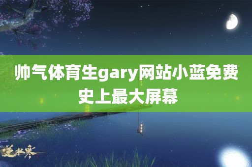 帅气体育生gary网站小蓝免费 史上最大屏幕