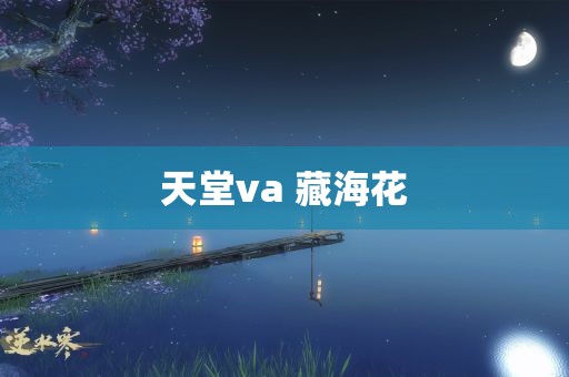 天堂va 藏海花