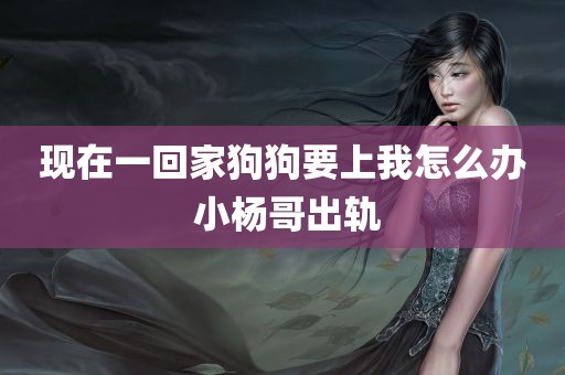 现在一回家狗狗要上我怎么办 小杨哥出轨