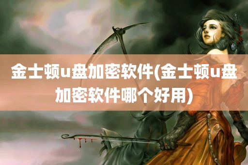 金士顿u盘加密软件(金士顿u盘加密软件哪个好用)