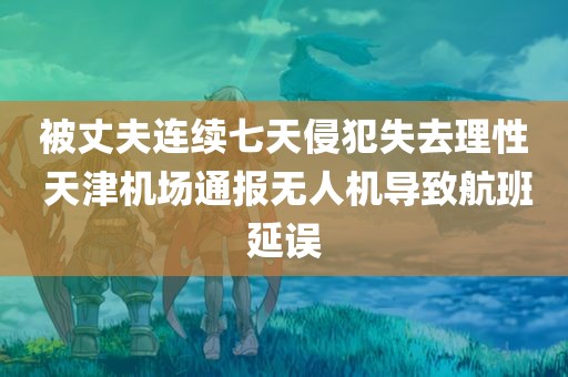 被丈夫连续七天侵犯失去理性 天津机场通报无人机导致航班延误