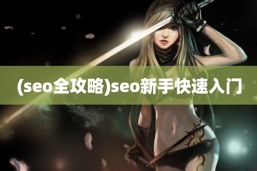 (seo全攻略)seo新手快速入门