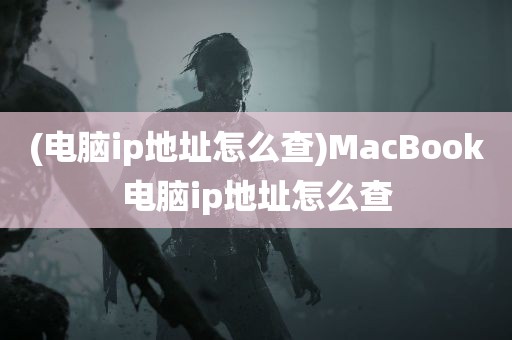 (电脑ip地址怎么查)MacBook电脑ip地址怎么查