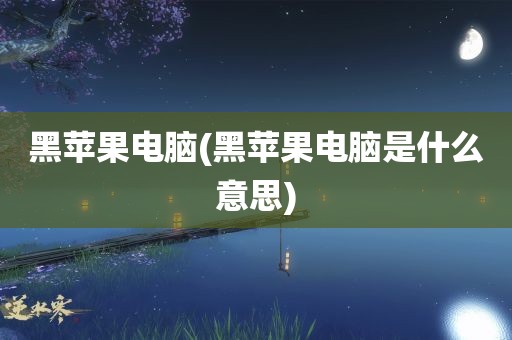 黑苹果电脑(黑苹果电脑是什么意思)