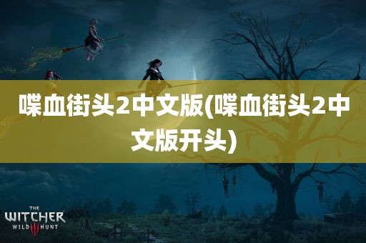 喋血街头2中文版(喋血街头2中文版开头)