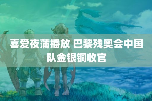 喜爱夜蒲播放 巴黎残奥会中国队金银铜收官