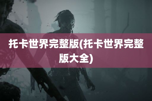 托卡世界完整版(托卡世界完整版大全)