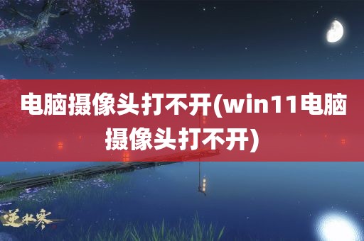 电脑摄像头打不开(win11电脑摄像头打不开)