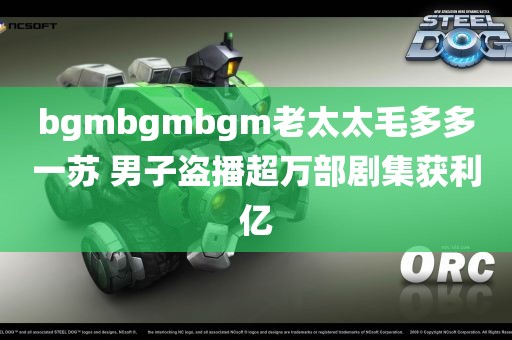 bgmbgmbgm老太太毛多多一苏 男子盗播超万部剧集获利亿