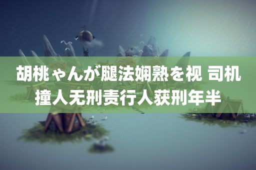 胡桃ゃんが腿法娴熟を视 司机撞人无刑责行人获刑年半