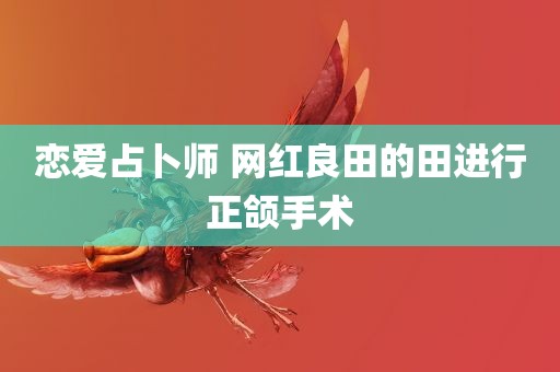 恋爱占卜师 网红良田的田进行正颌手术