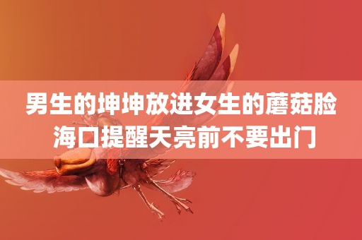 男生的坤坤放进女生的蘑菇脸 海口提醒天亮前不要出门