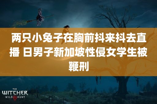 两只小兔子在胸前抖来抖去直播 日男子新加坡性侵女学生被鞭刑