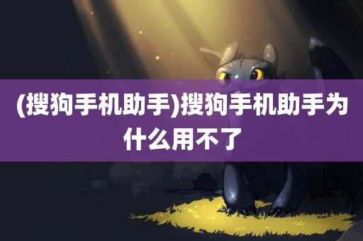 (搜狗手机助手)搜狗手机助手为什么用不了