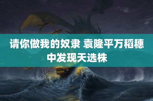 请你做我的奴隶 袁隆平万稻穗中发现天选株