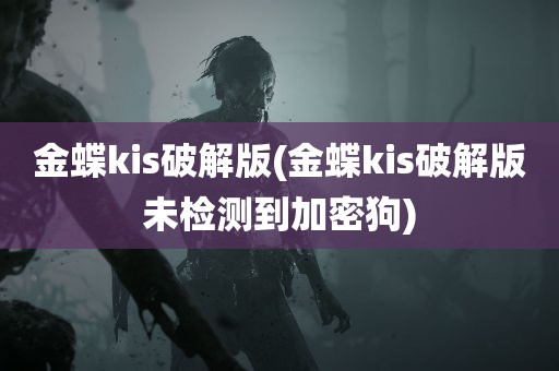 金蝶kis破解版(金蝶kis破解版未检测到加密狗)