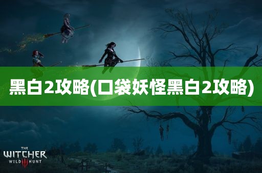 黑白2攻略(口袋妖怪黑白2攻略)