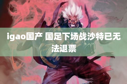 igao国产 国足下场战沙特已无法退票