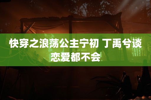 快穿之浪荡公主宁初 丁禹兮谈恋爱都不会