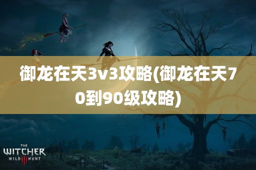 御龙在天3v3攻略(御龙在天70到90级攻略)