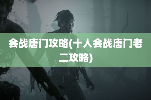 会战唐门攻略(十人会战唐门老二攻略)