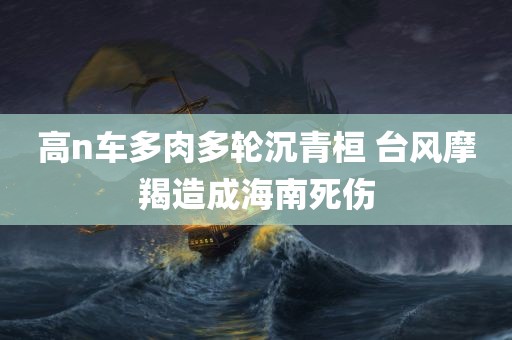 高n车多肉多轮沉青桓 台风摩羯造成海南死伤