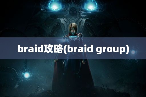 braid攻略(braid group)